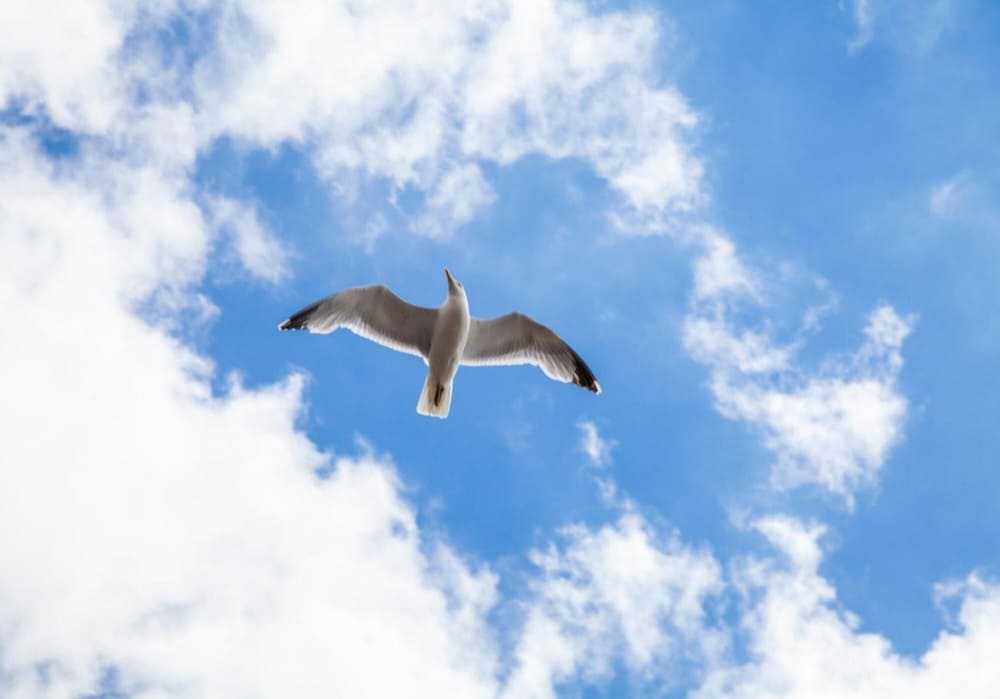 Right On Bright On Apartment 1E - City Centre Luxury Apartments