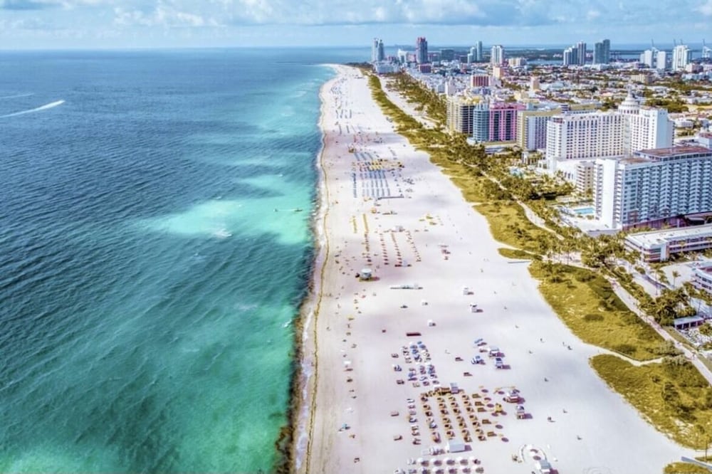 🌇🌟 Miami Bayside View, Rooftop Pool, FTX Arena, New Gym Sky View