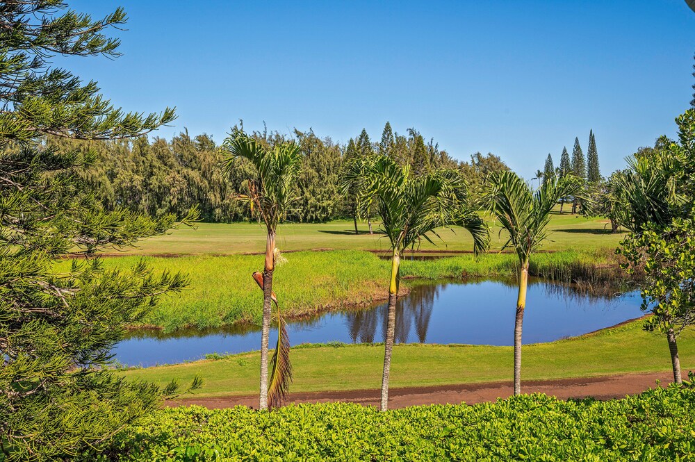 Exclusive Golf Course Condo at Turtle Bay w/Pool **Professionally Sanitized**