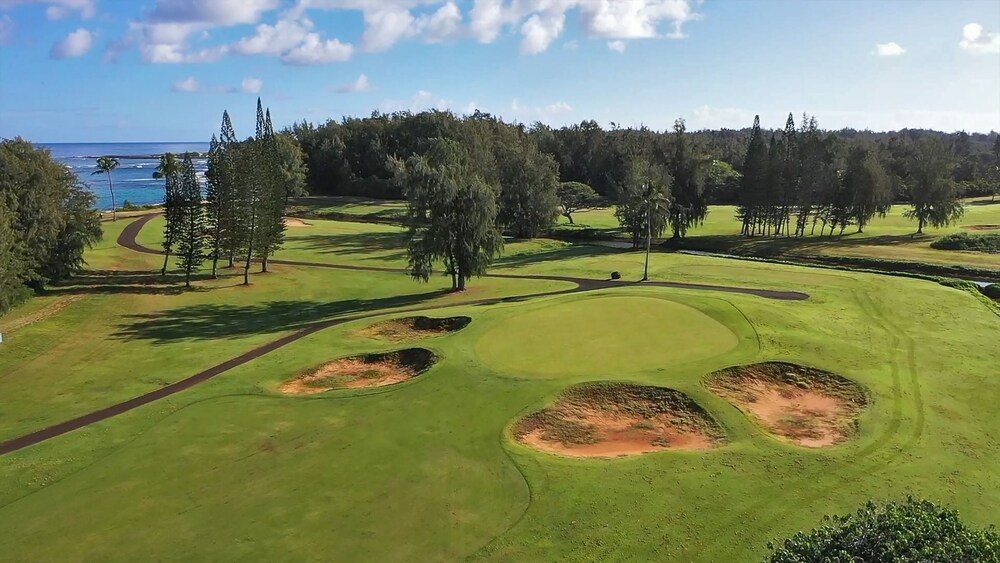 Exclusive Golf Course Condo at Turtle Bay w/Pool **Professionally Sanitized**