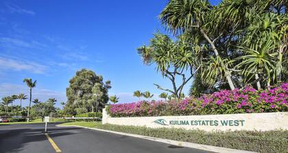 Turtle Bay Gardenia 1 Bedroom Condo by Redawning