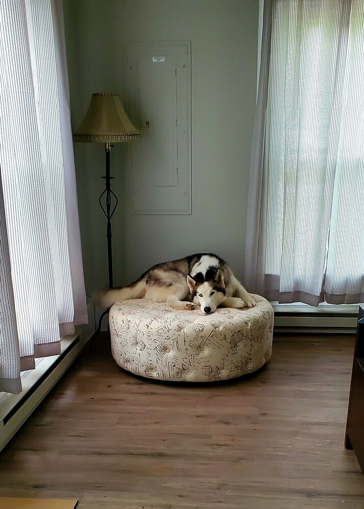 Amazing Mills in the heart of the Finger Lakes Town of Milo Vrbo