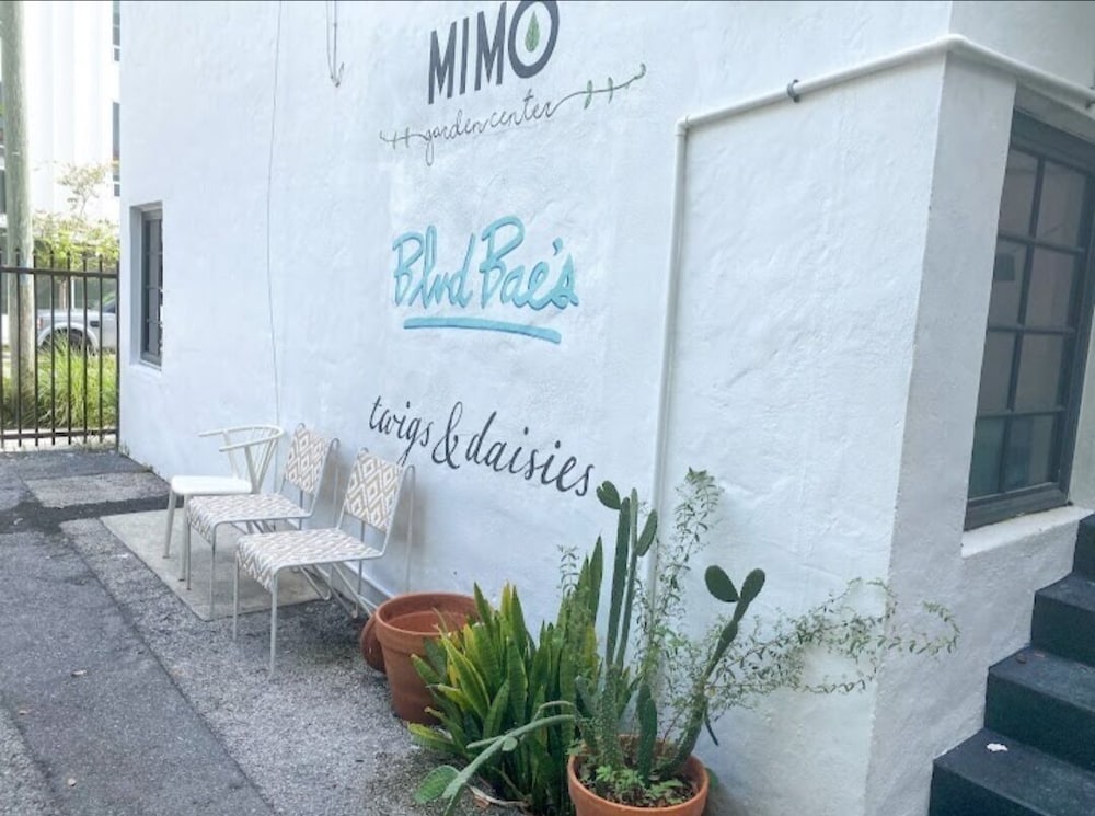 Luxurious Suite with a Beautiful Terrace