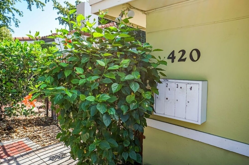 Luxurious Suite with a Beautiful Terrace