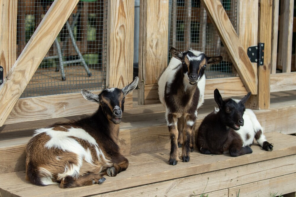 The Loft at Blue Sky Ranch: Perfect for Couples!