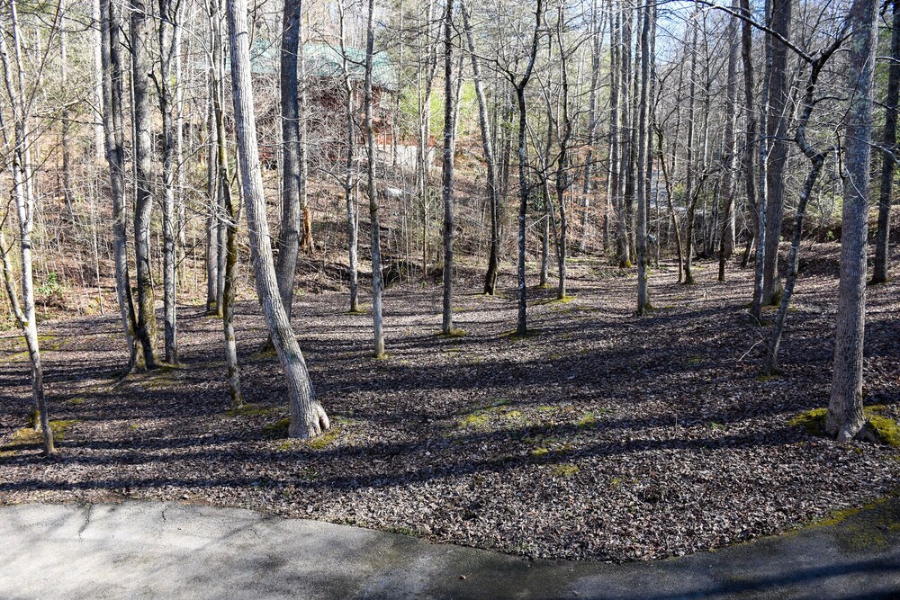 Quiet Harmony - 2BR/2BA In The Heart of Wears Valley, Walking Distance to Fishing Pond & Picnic Area