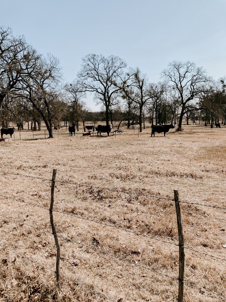 Lantana Inn Rural Casita, Aquilla, TX Vacation Rental Cottage ByOwner