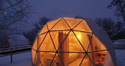 Luxurious Dome Houses Surrounded by Nature