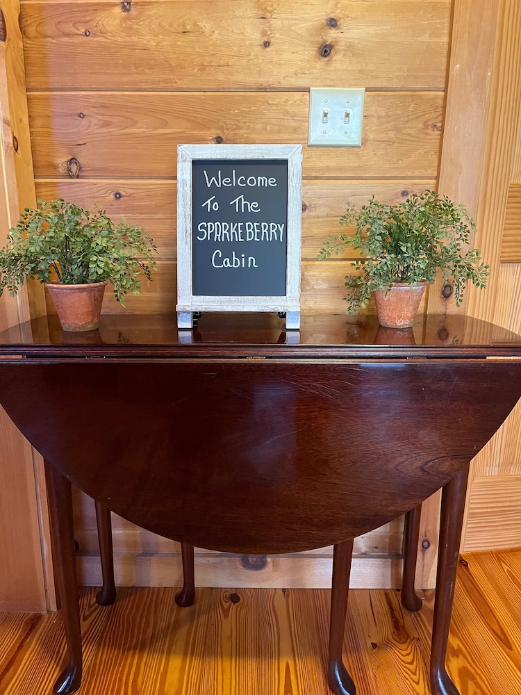 Sparkleberry Cabin Pine Mountain Vrbo