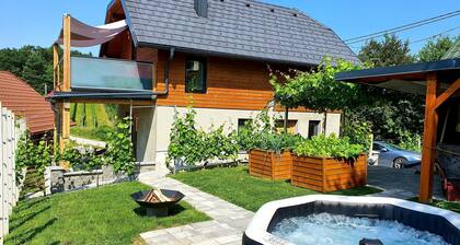 Vineyard cottage Matej