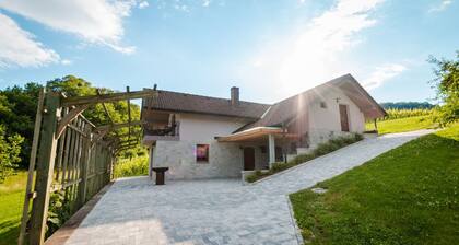Vineyard cottage Radulja