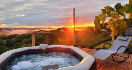 Vineyard cottage Soncni gric
