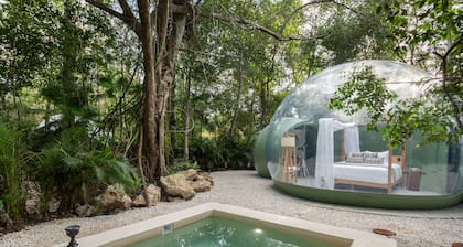 Oom Bubble Boutique Riviera Cancun