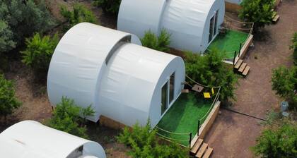 Evergreen Glamping