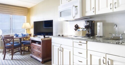 newport harbor animal hospital coupon