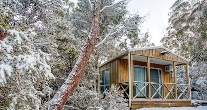 Discovery Parks - Cradle Mountain