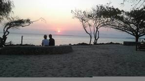 Ubicación a pie de playa, bar en la playa y pesca