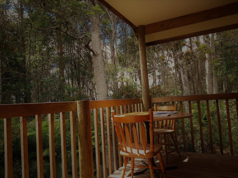 Room, Cradle Forest Inn