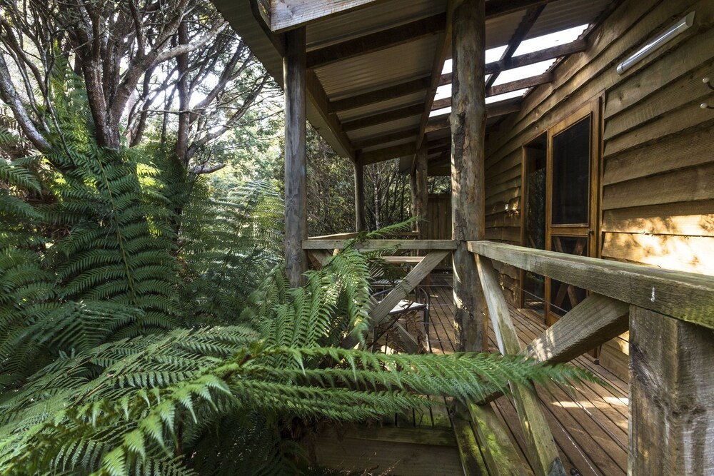 Terrace/patio, Cradle Forest Inn