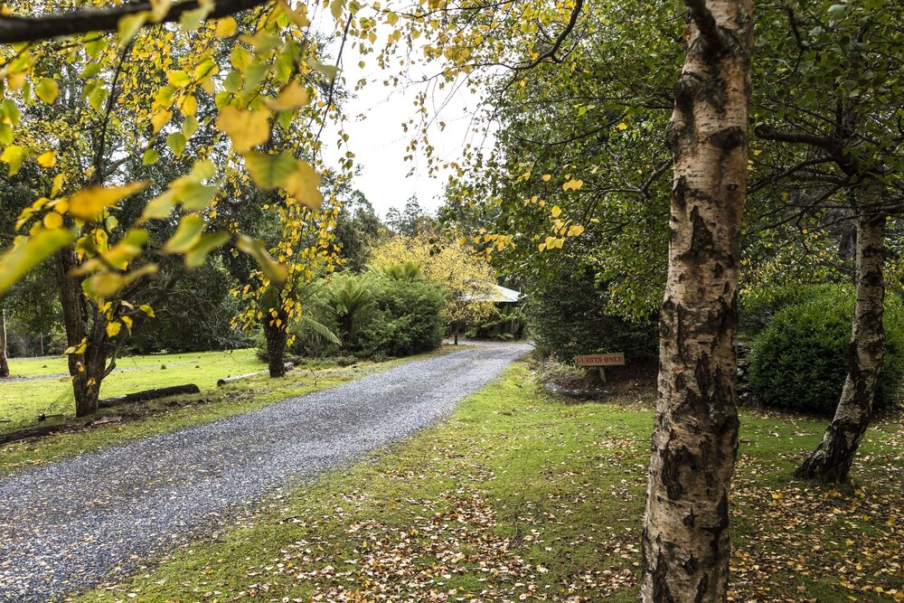 Exterior, Cradle Forest Inn