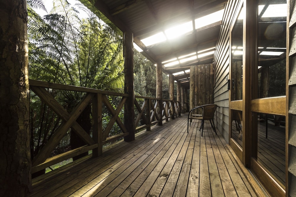 Cradle Forest Inn