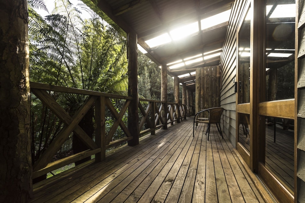 Terrace/patio, Cradle Forest Inn