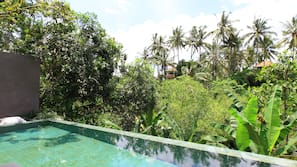 Outdoor pool, pool loungers