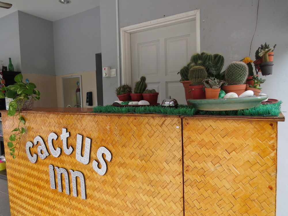 Primary image, Cactus Inn