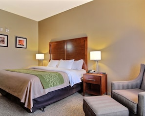 Standard Room, 1 King Bed, Non Smoking | Living room | Flat-screen TV
