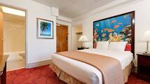 In-room safe, blackout drapes, iron/ironing board, free WiFi