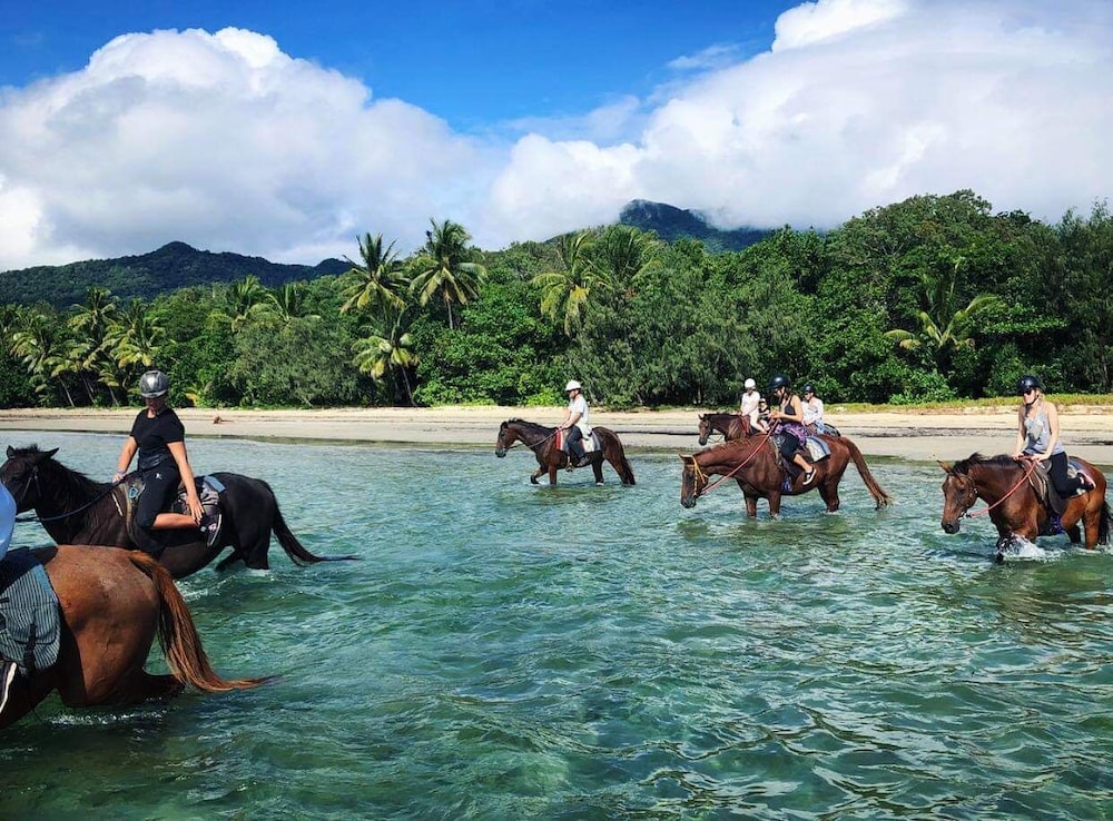 Cape Tribulation Beach House