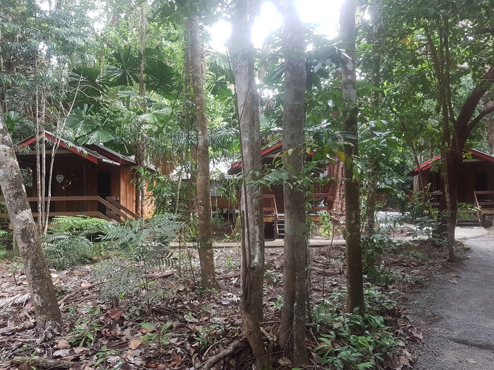 Cape Tribulation Beach House