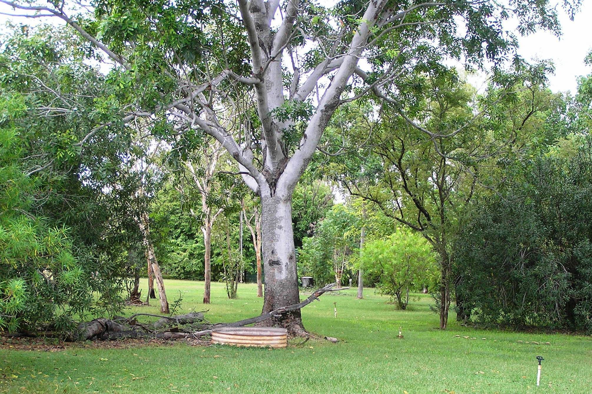 Mt Hart Wilderness Lodge