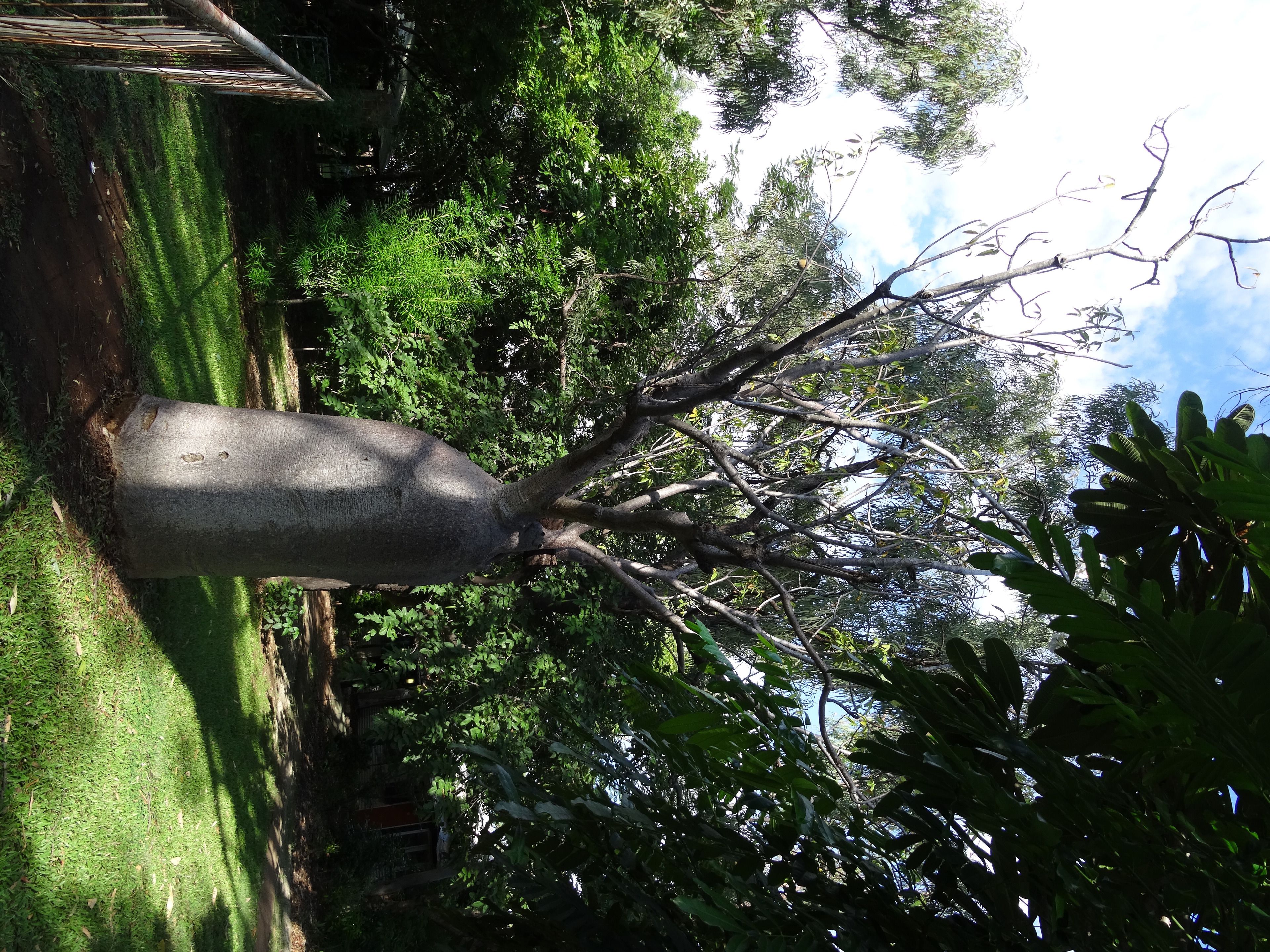 Mt Hart Wilderness Lodge