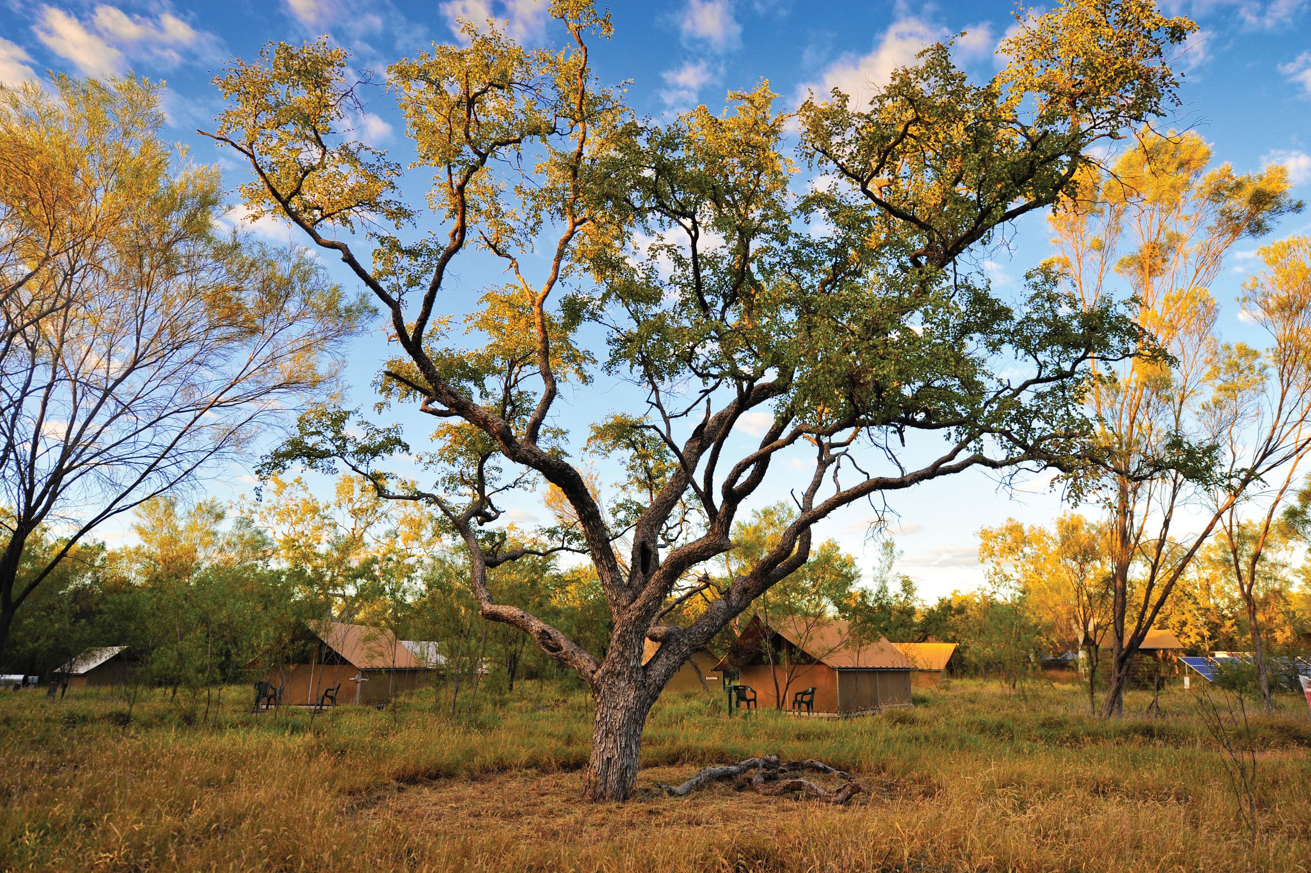 Bungle Bungle Wilderness Lodge