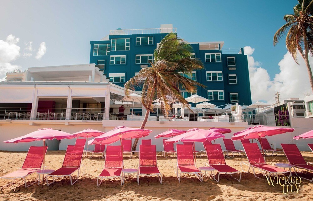 The Tryst Beachfront Hotel in San Juan Best Rates & Deals on Orbitz