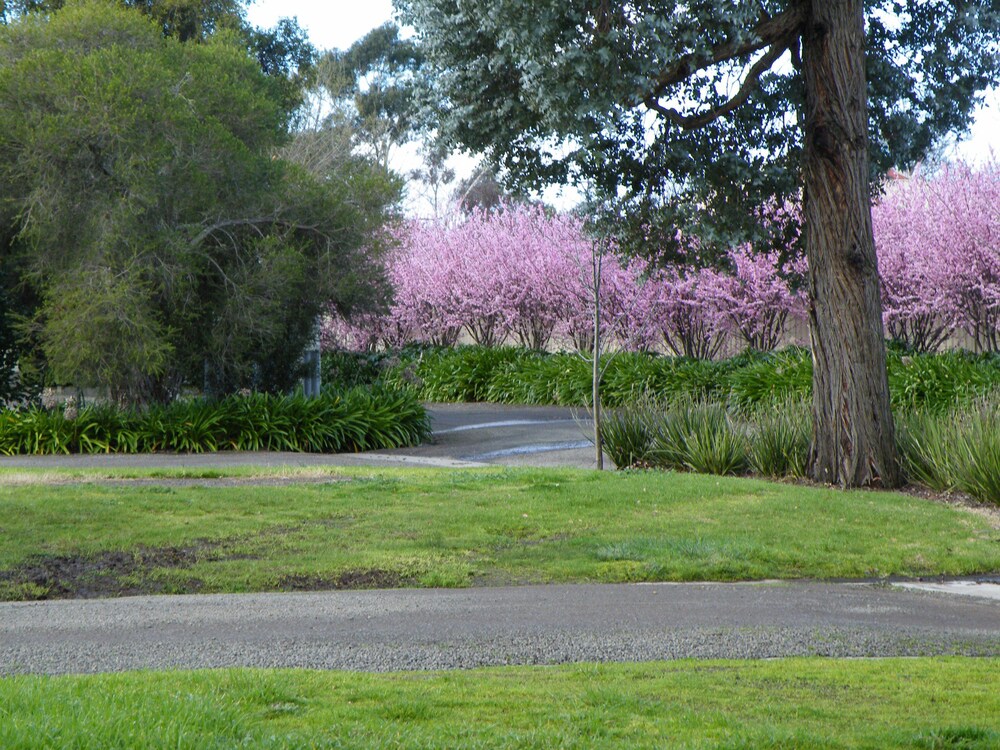 Lake Hamilton Motor Village & Caravan Park