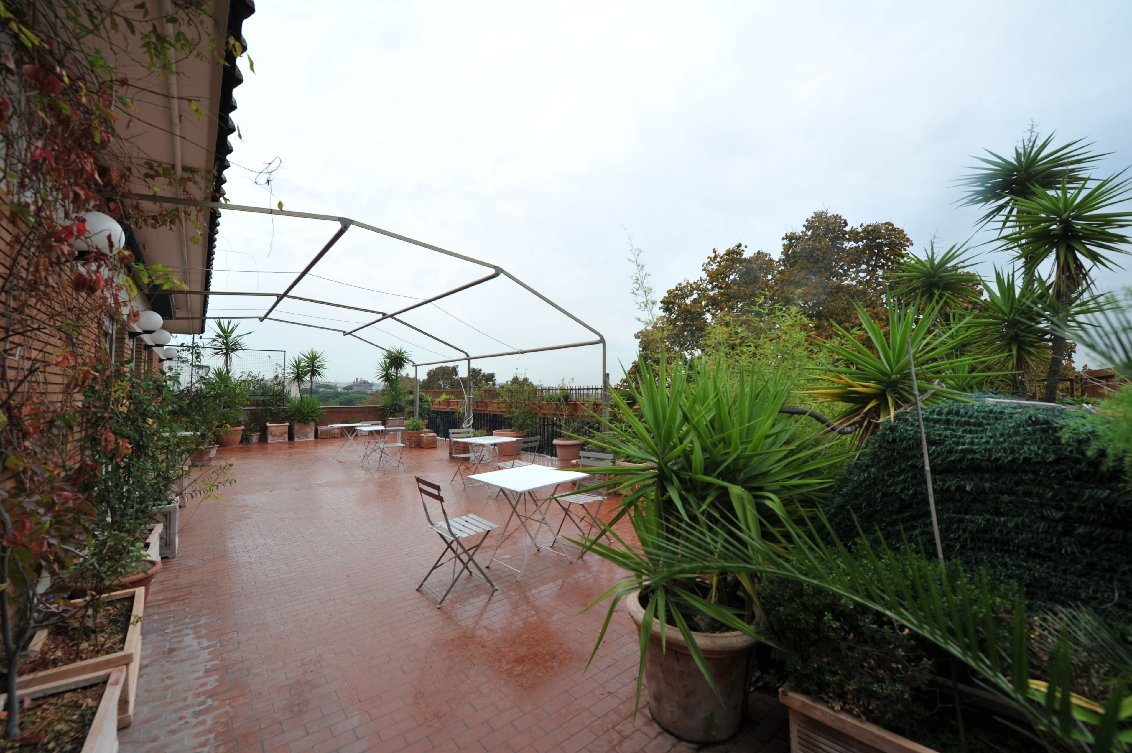 B B Roof Garden Zaccardi In Rome Italy Expedia