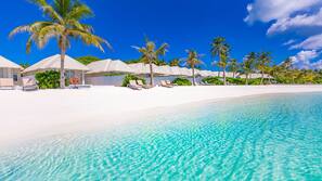 On the beach, sun loungers, scuba diving, snorkeling