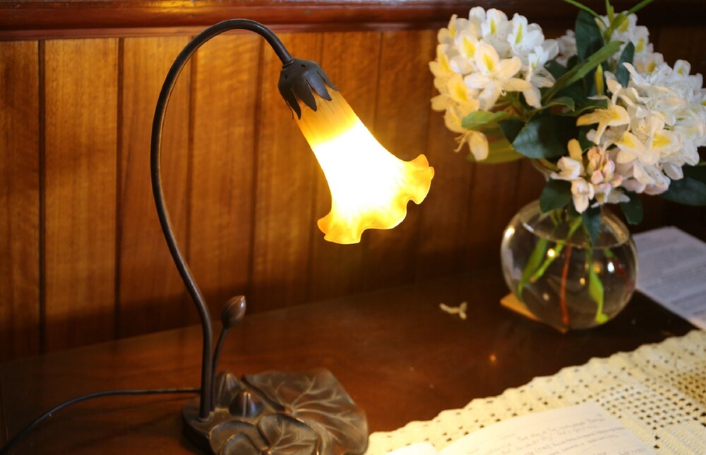 Penghana Bed & Breakfast Deals & Reviews (Queenstown, AUS) Wotif