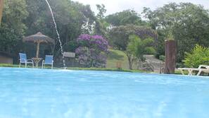 Outdoor pool, pool umbrellas, sun loungers