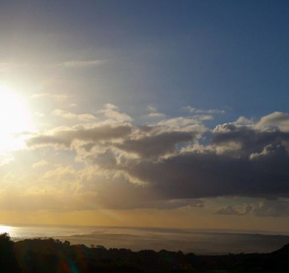Views Cape Schanck - Pet Friendly Accommodation