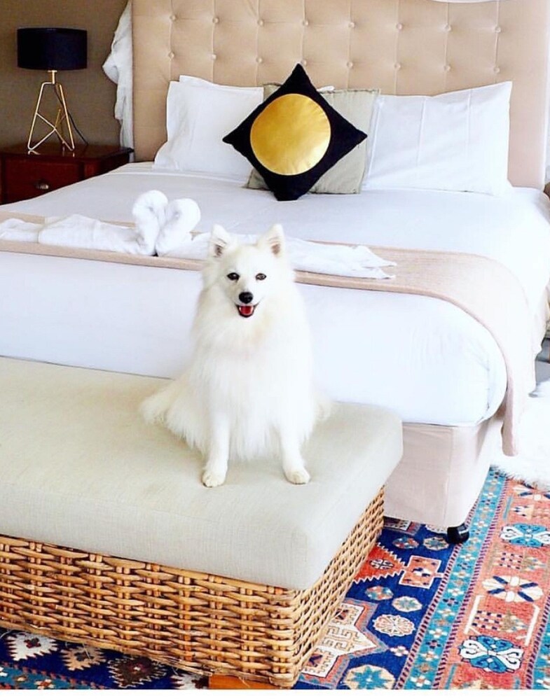 Views Cape Schanck - Pet Friendly Accommodation