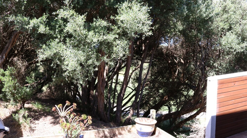 Views Cape Schanck - Pet Friendly Accommodation