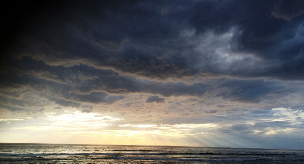 Views Cape Schanck - Pet Friendly Accommodation