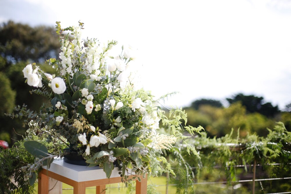 Views Cape Schanck - Pet Friendly Accommodation