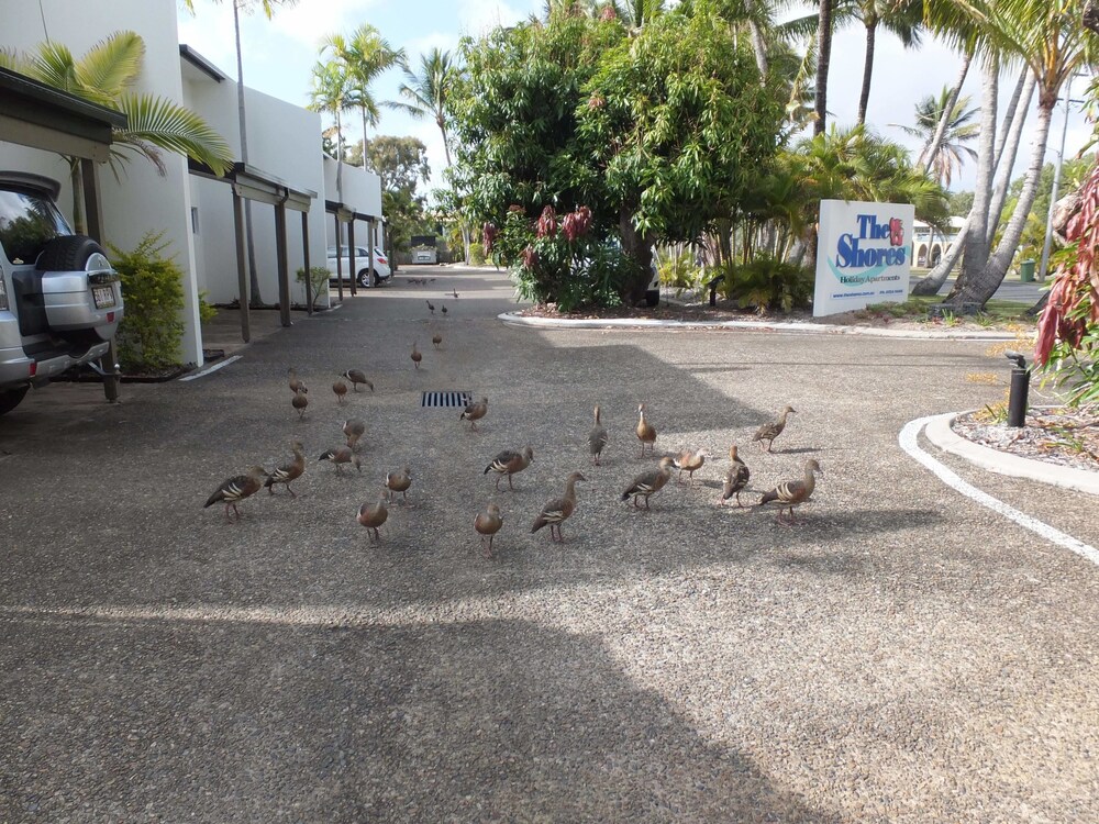 The Shores Holiday Apartments