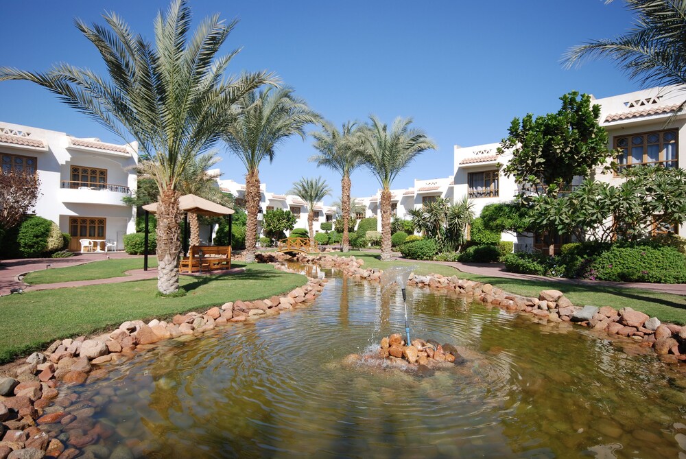 Dive inn resort 4 египет шарм эль шейх Dive inn resort 4 египет шарм эль шейх