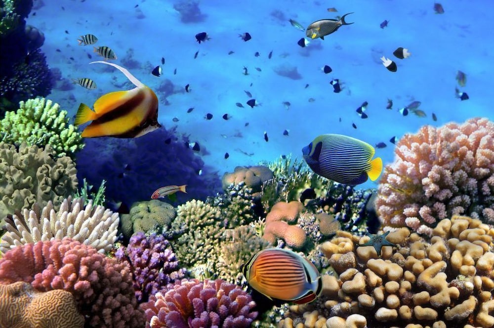 Foto - Classic Inn באווירה רגועה