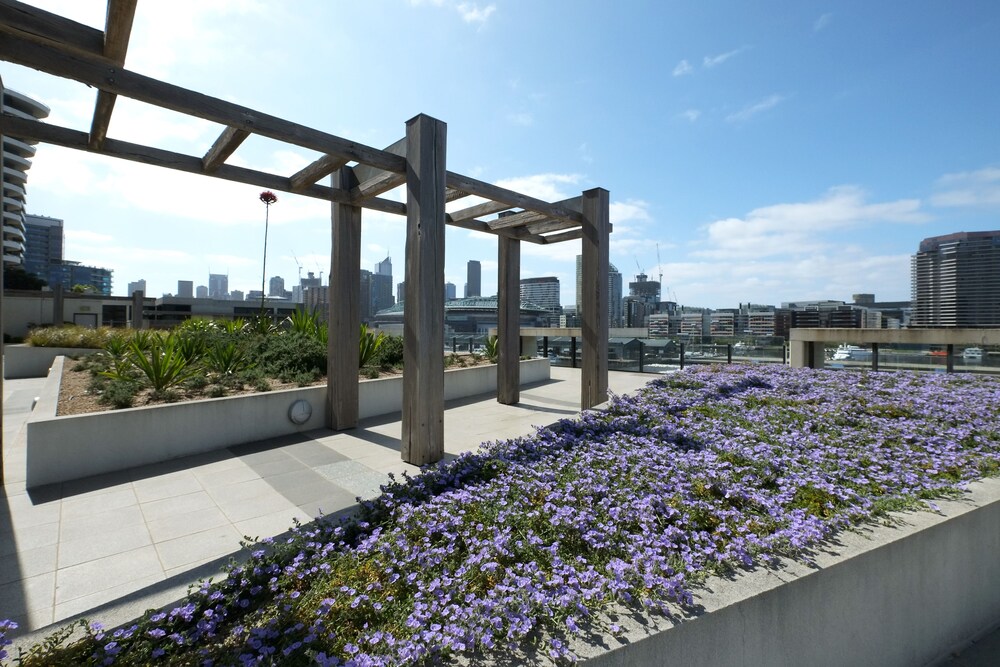 ACD Apartments